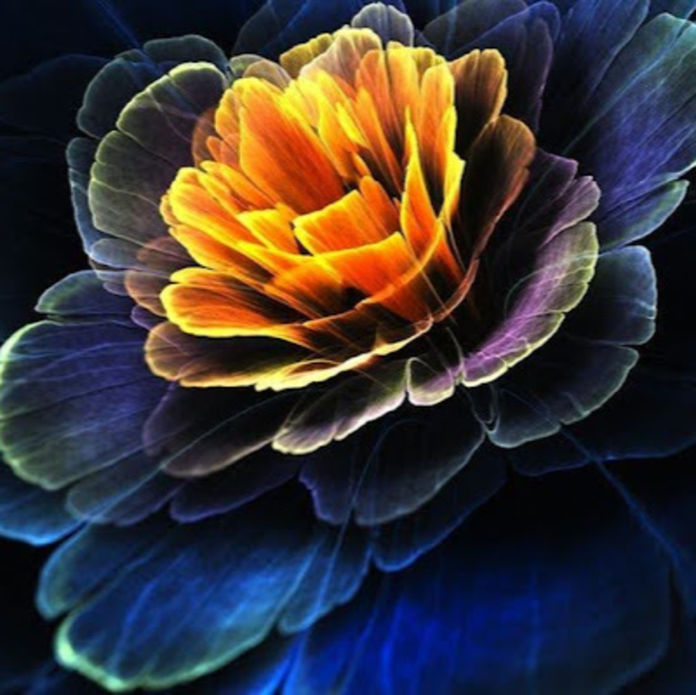 Meet your Posher, Starblossom